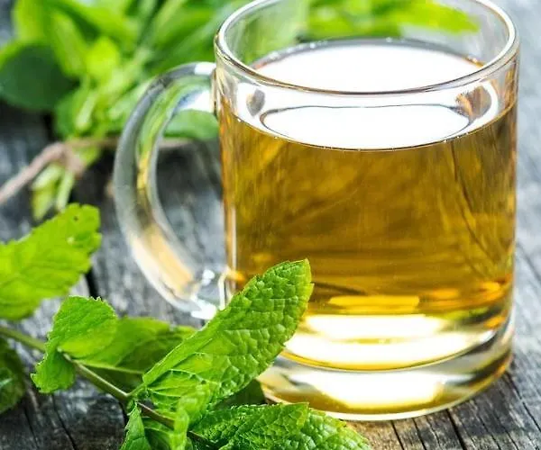 микадо - онлайн Self Check-in 3* Burgas City